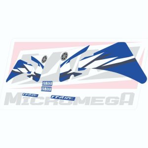 Calcas Sticker Calcomanias Yamaha Ttr 125 2006