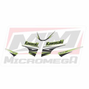 kawasaki klx 110 2010